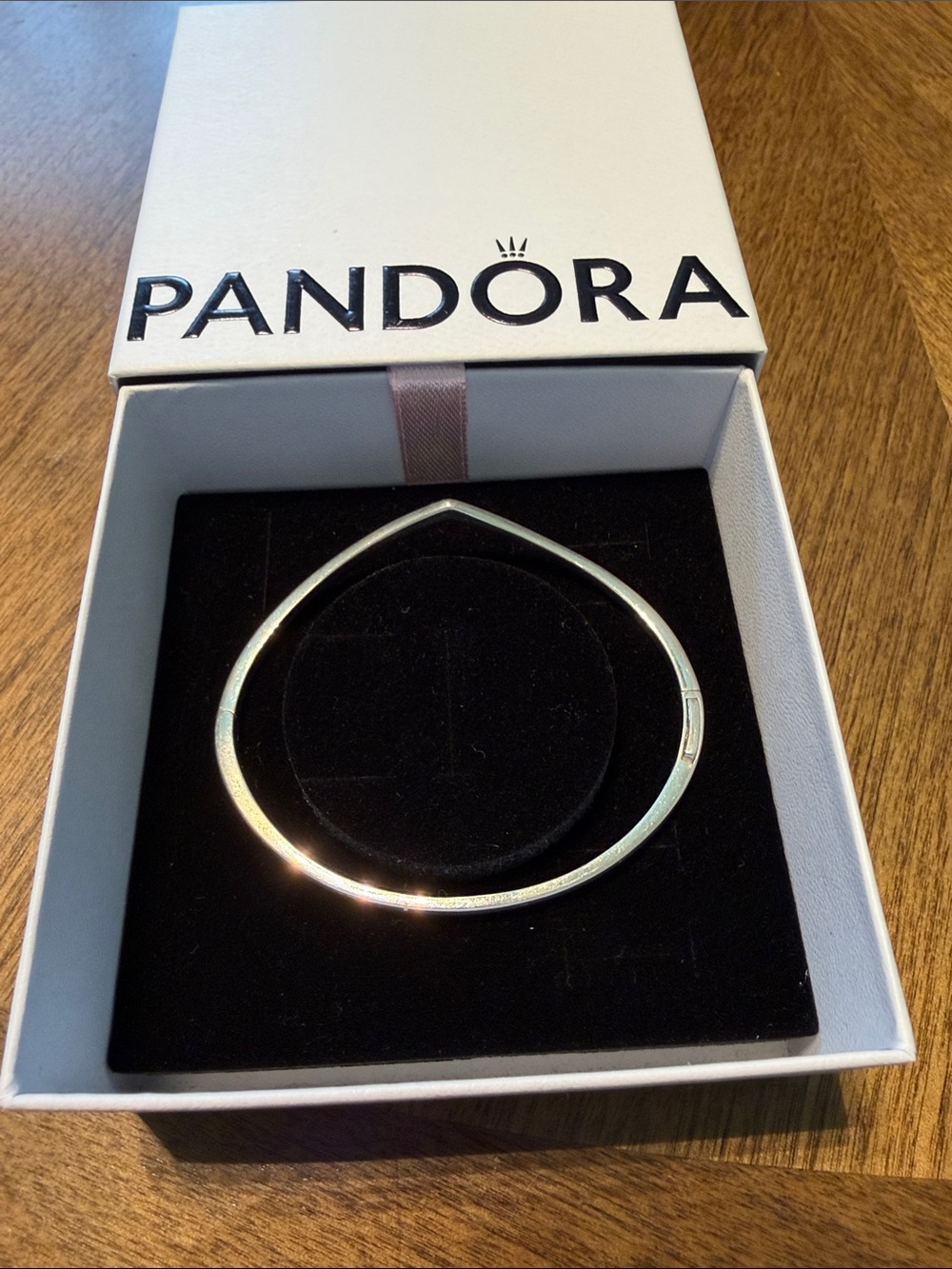 Pandora Silver Wishbone Necklace
